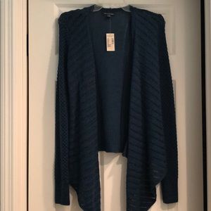 American Eagle Cardigan